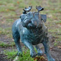 2026-01-08 Brandenburg an der Havel/Waldmöpse/DSC_2358.JPG